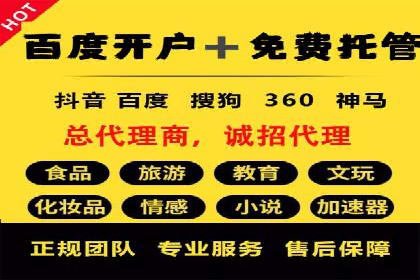 SEM公司案例分享：优化效果与转化率提升策略
